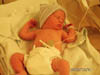 COLE 020